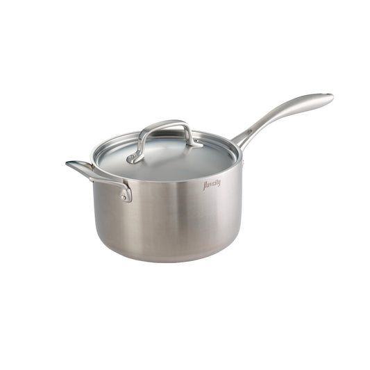 4 Quart Stainless Steel Pot